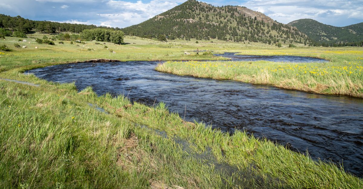Idyllic landscape of a flowing river through green alpine meadow.