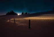 宁静的冬季日出将金色的光芒投射在白雪皑皑的风景上，映出树木的剪影