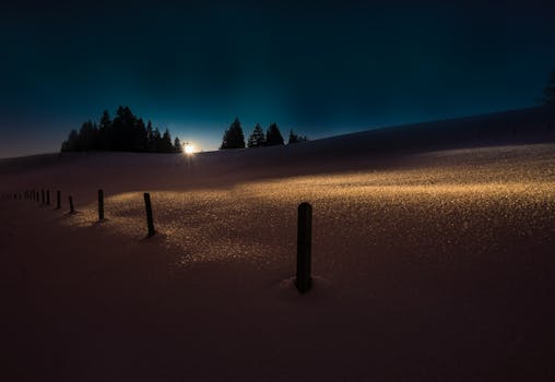 宁静的冬季日出将金色的光芒投射在白雪皑皑的风景上，映出树木的剪影