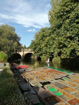 Paddle along the serene river surrounded by lush greenery and historic bridges in Oxford, UK.