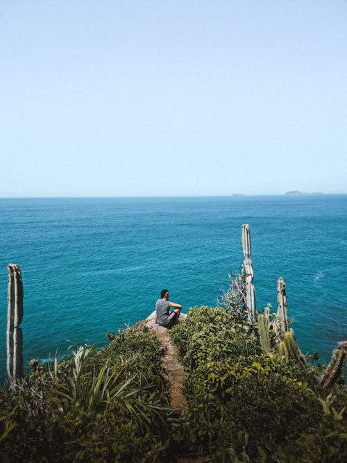 Free Lone traveler sits on a cliff overlooking the vast ocean, surrounded by lush cacti. Stock Photo