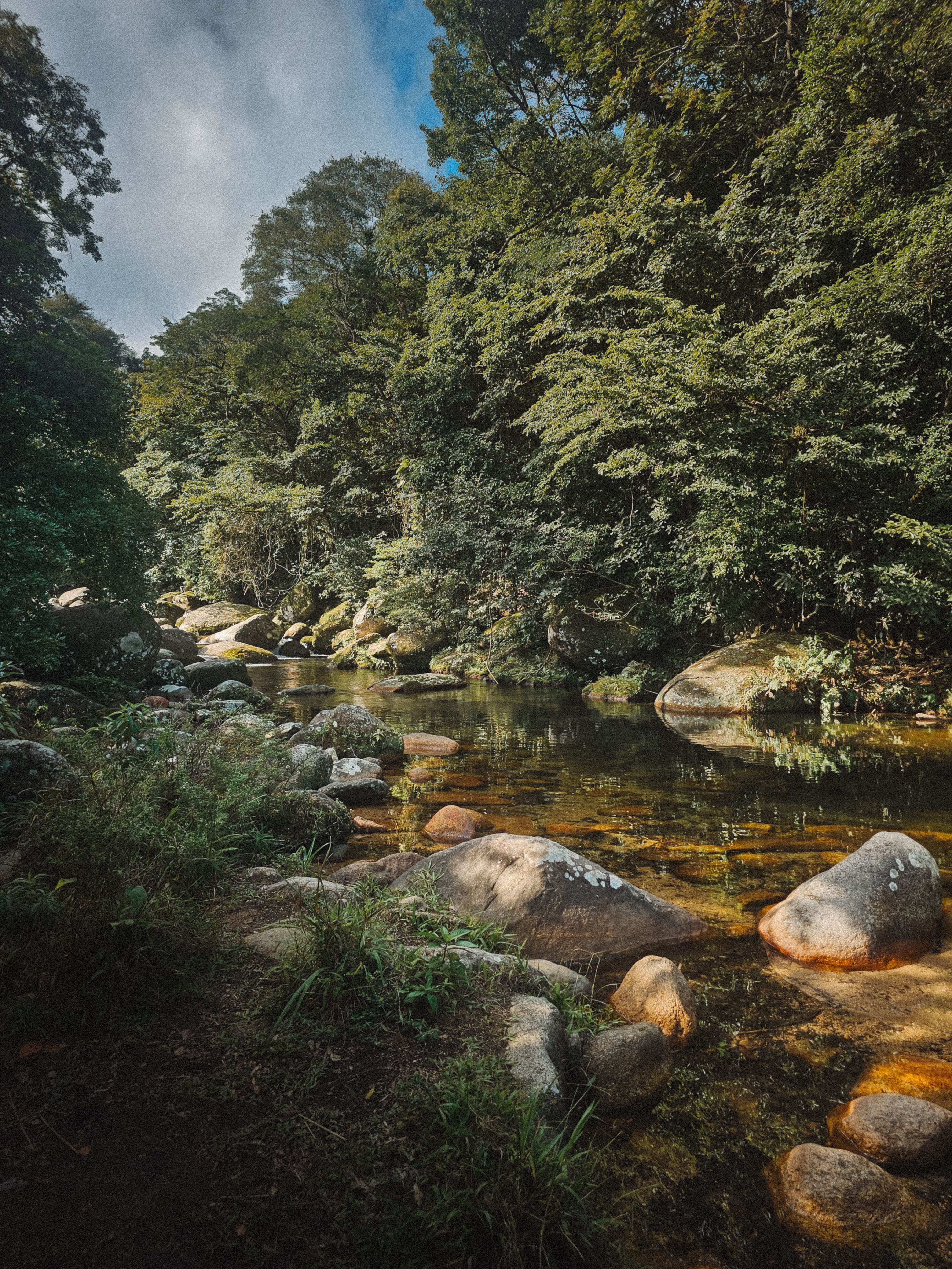 A tranquil forest stream surrounded by lush greenery and smooth rocks under a bright sky.