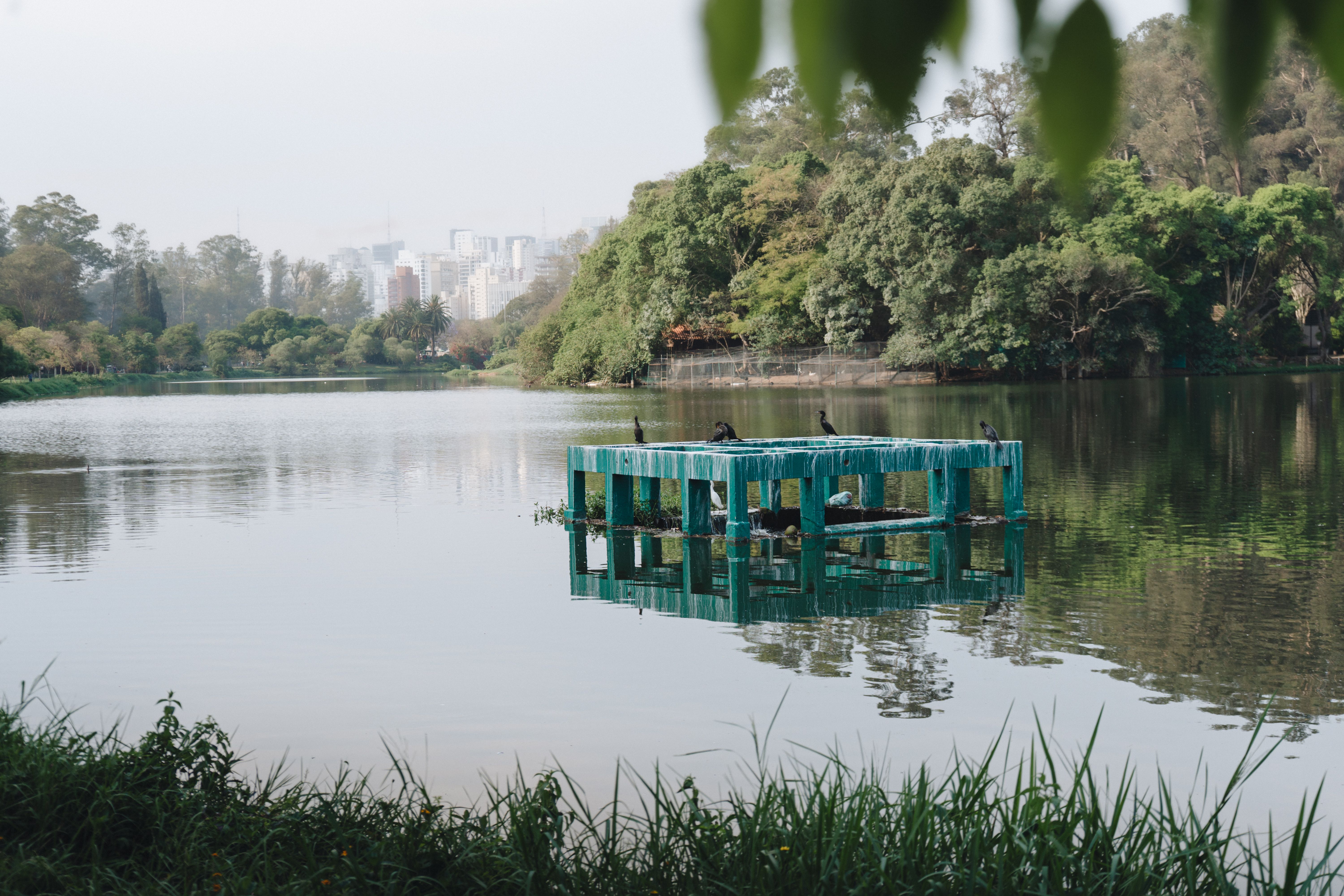 Parque Vitória Régia