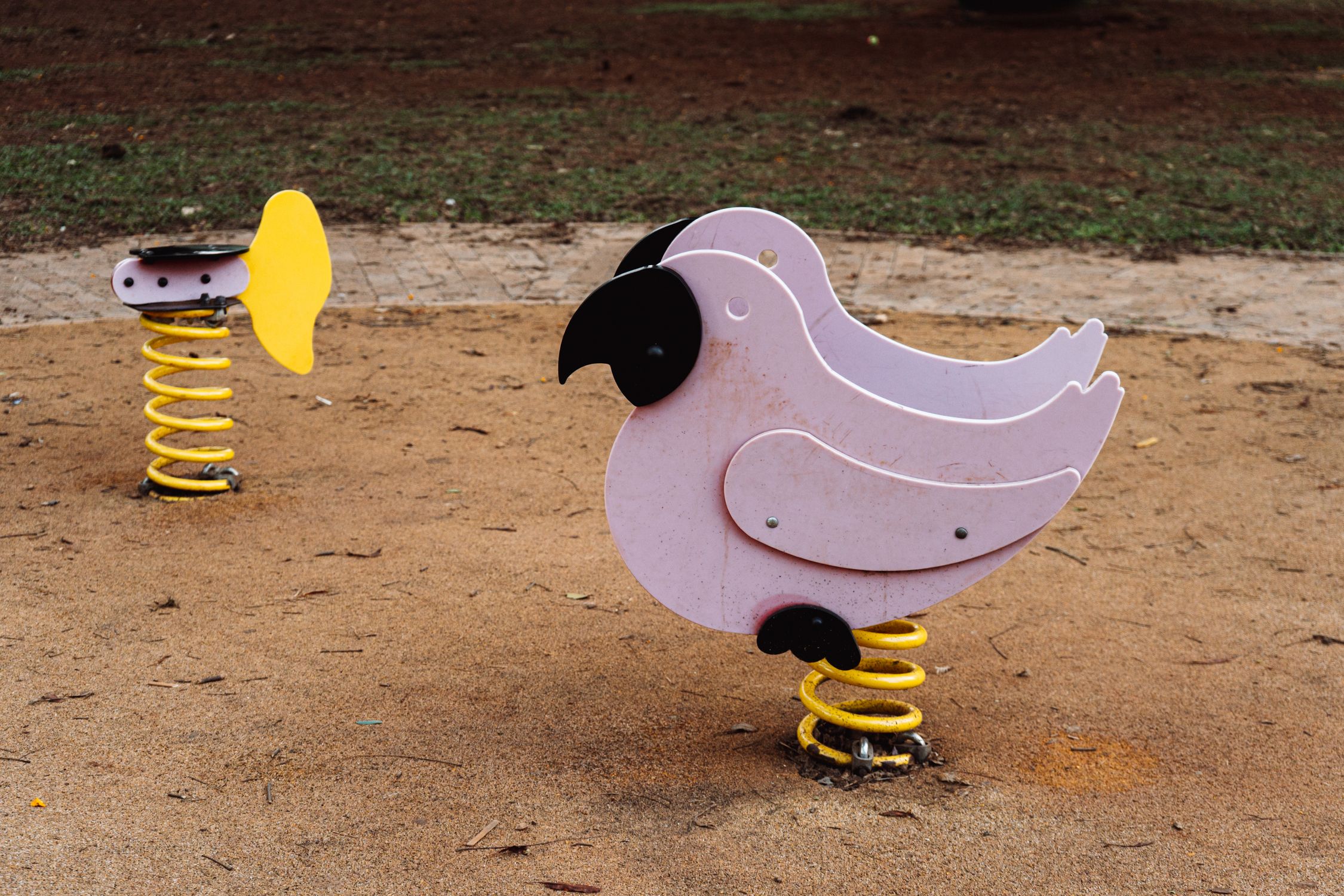 Colorful Playground Spring Animal Rides · Free Stock Photo