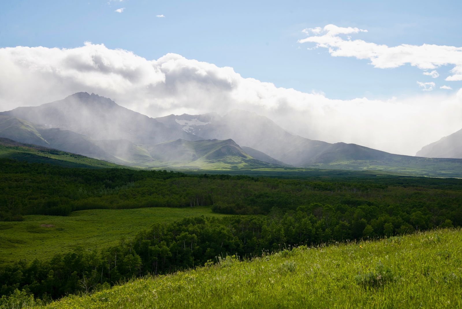 Misty mountain view