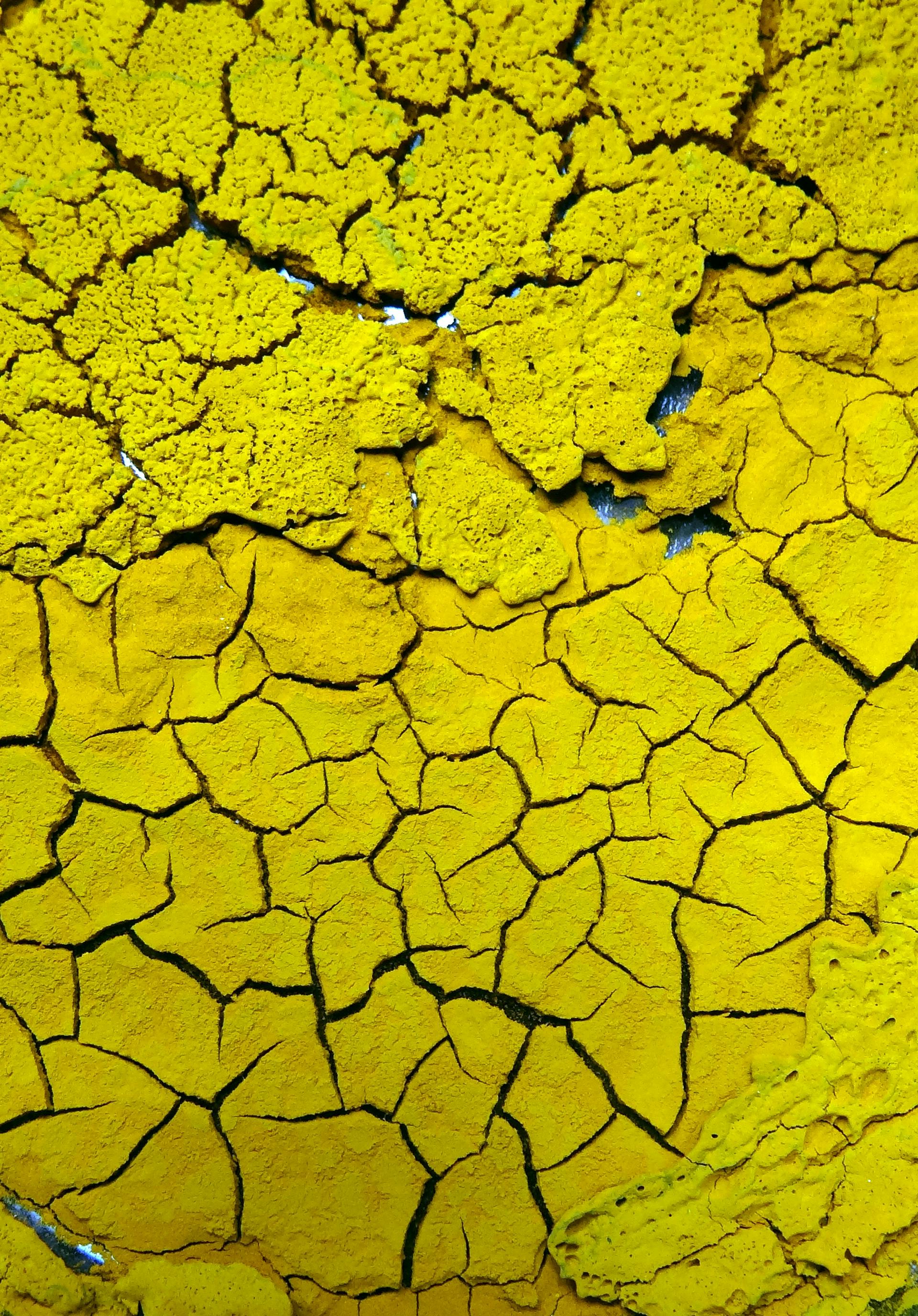 Free stock photo  of cracked surface  dry macro 