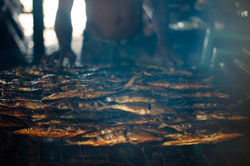 Free stock photo of fish, fisherman, food Stock Photo