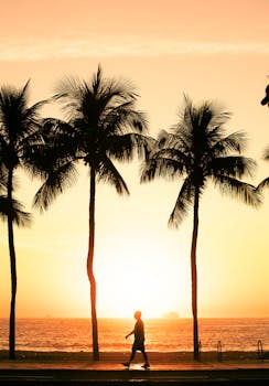 A person walks along a beach path lined with palm trees during a vibrant sunset.