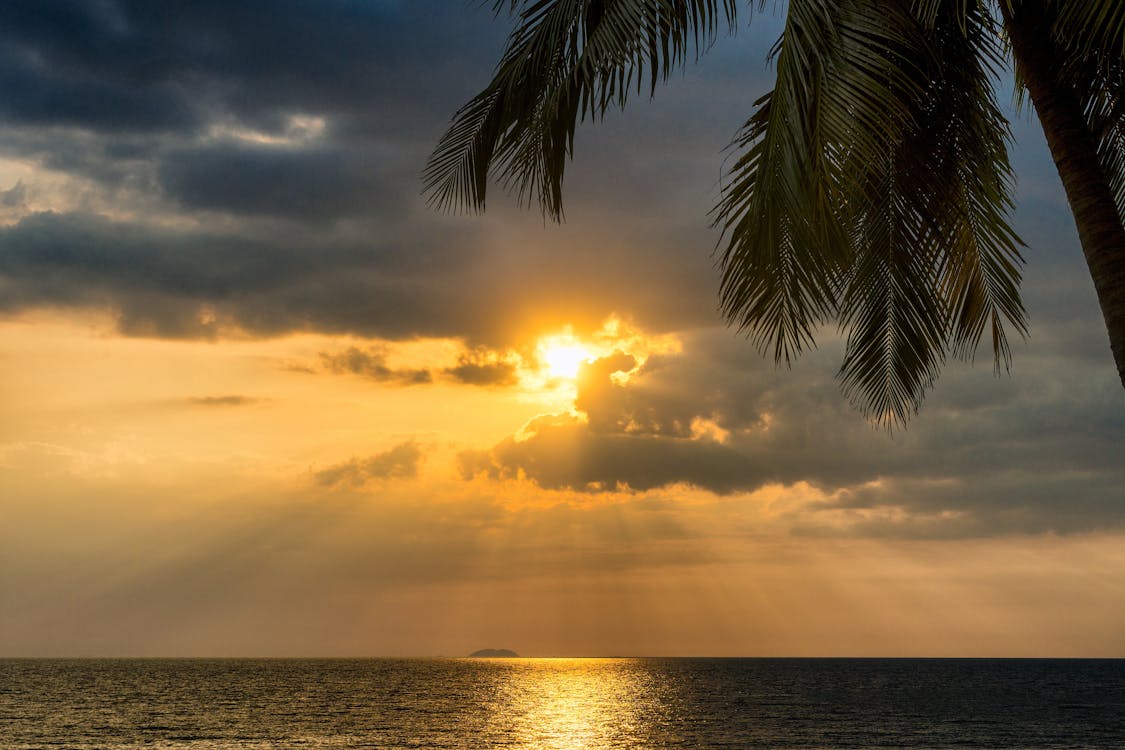 Free Sun Rays during Golden Hour Stock Photo