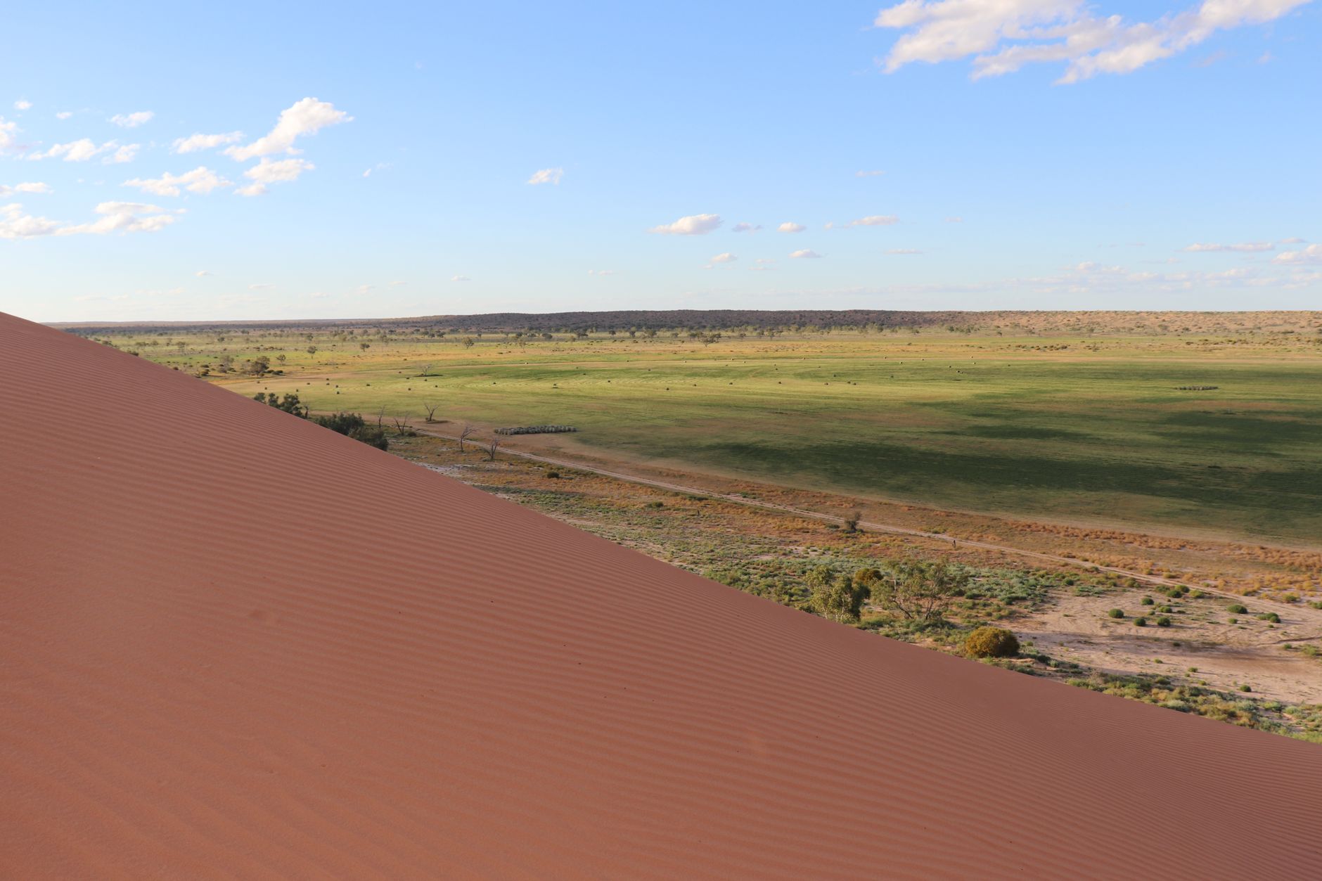 Expansive landscape view from a sand dune in Australia, showcasing arid and green terrains.