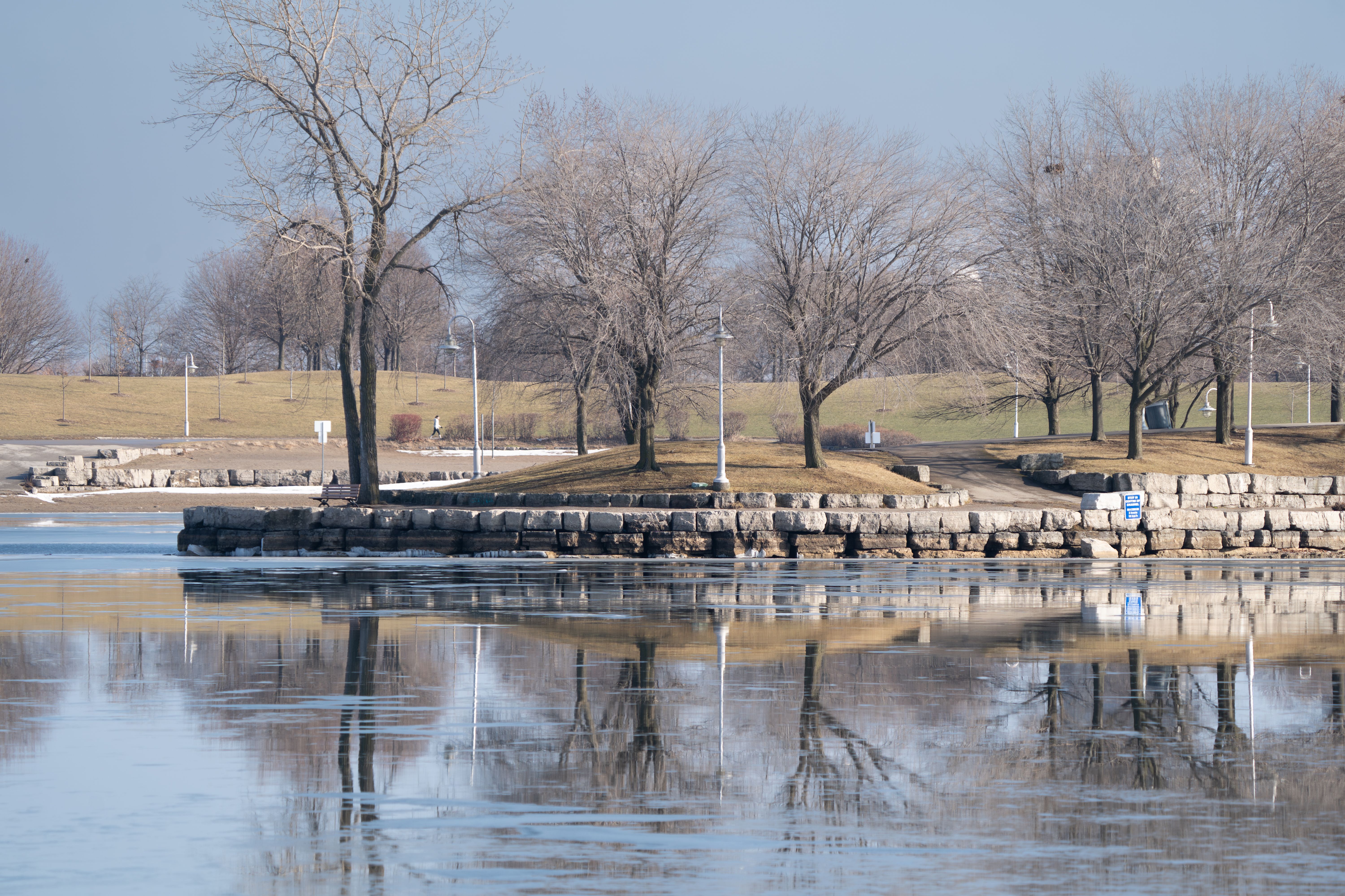 Serene lakefront scene with bare trees and reflections on a winter day.