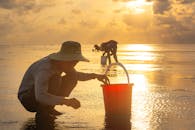 sustainable business