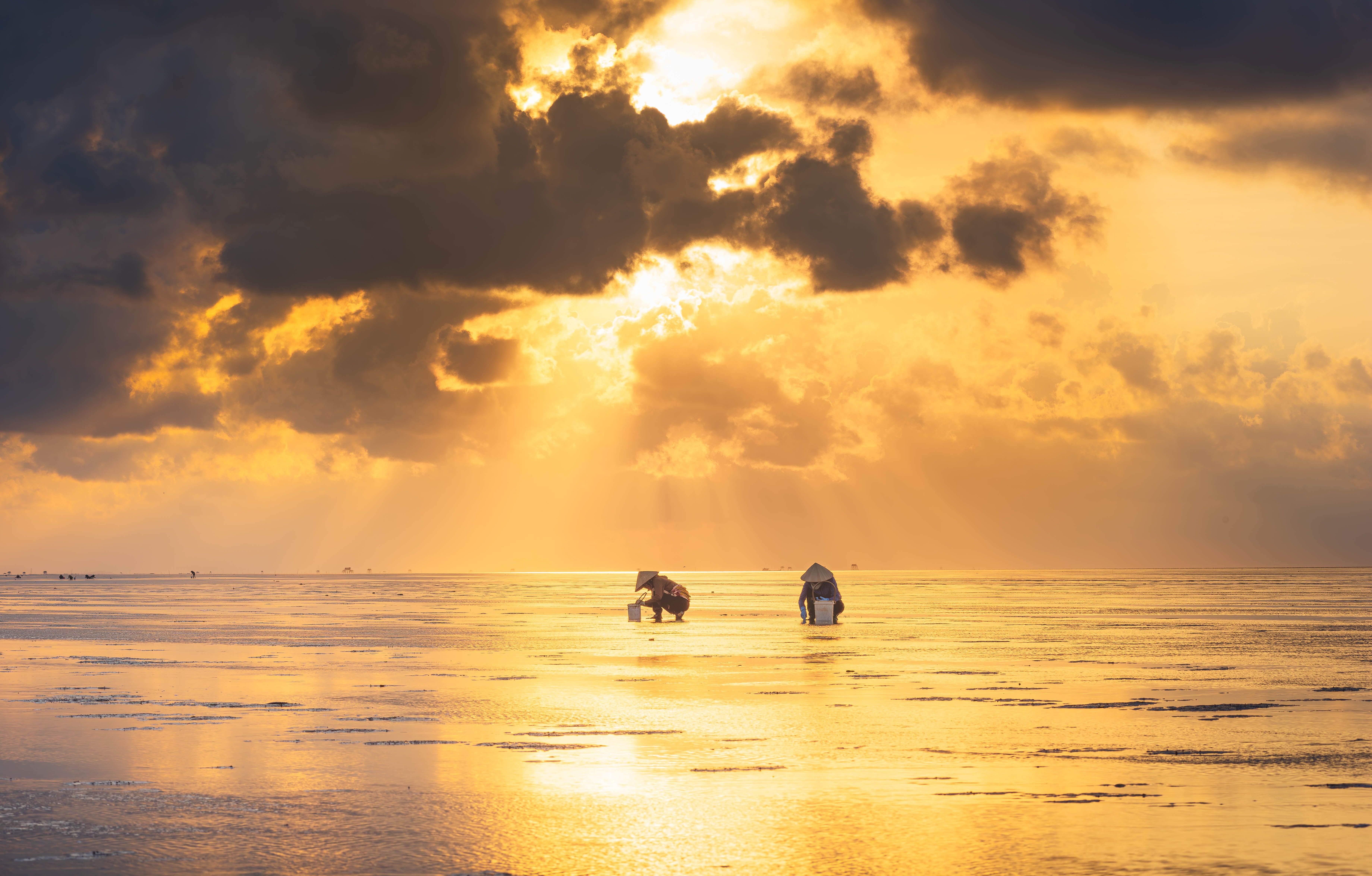 Fishermen Working During a Golden Sunrise · Free Stock Photo