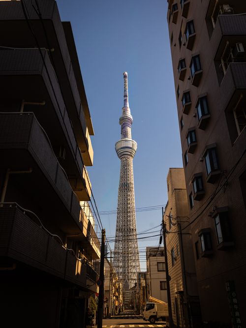 Free View of Tokyo Skytree framed by urban buildings on a sunny day. Stock Photo