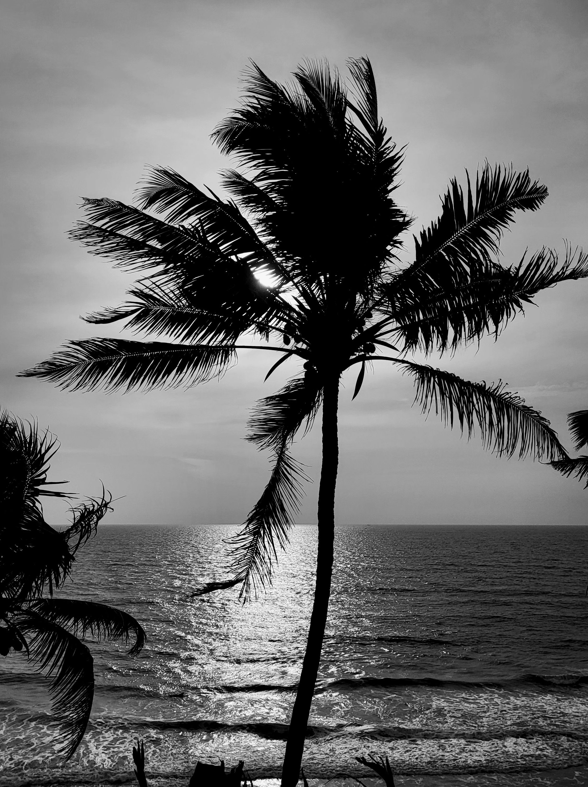 Stormy WIND AND SEA 