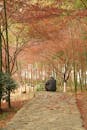 Serene Autumn Pathway in Tranquil Park Setting