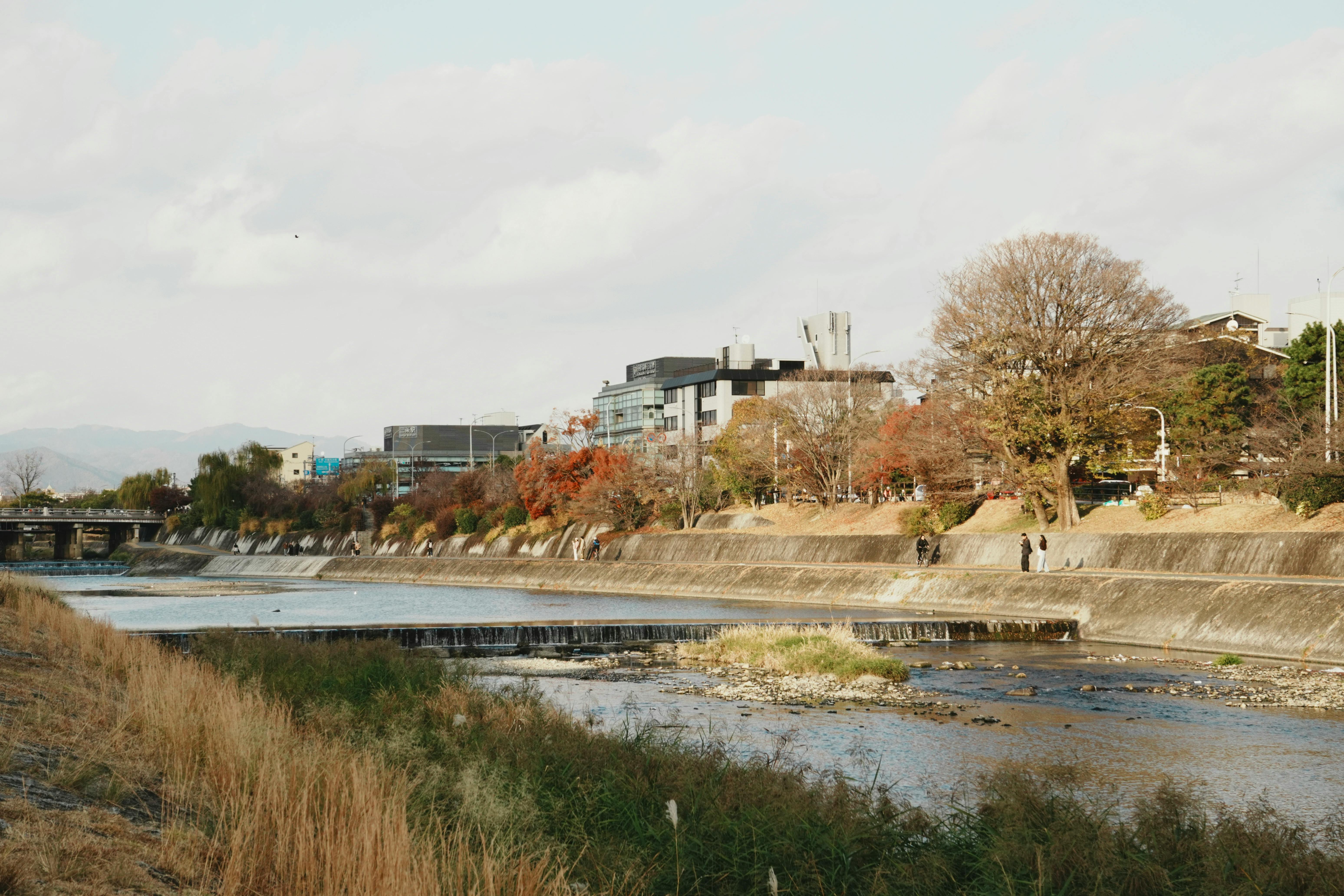 Tranquil view of Kyoto's riverbank with buildings, trees, and a flowing river during late fall.