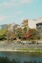 Scenic Riverside in Kyoto with Autumn Foliage