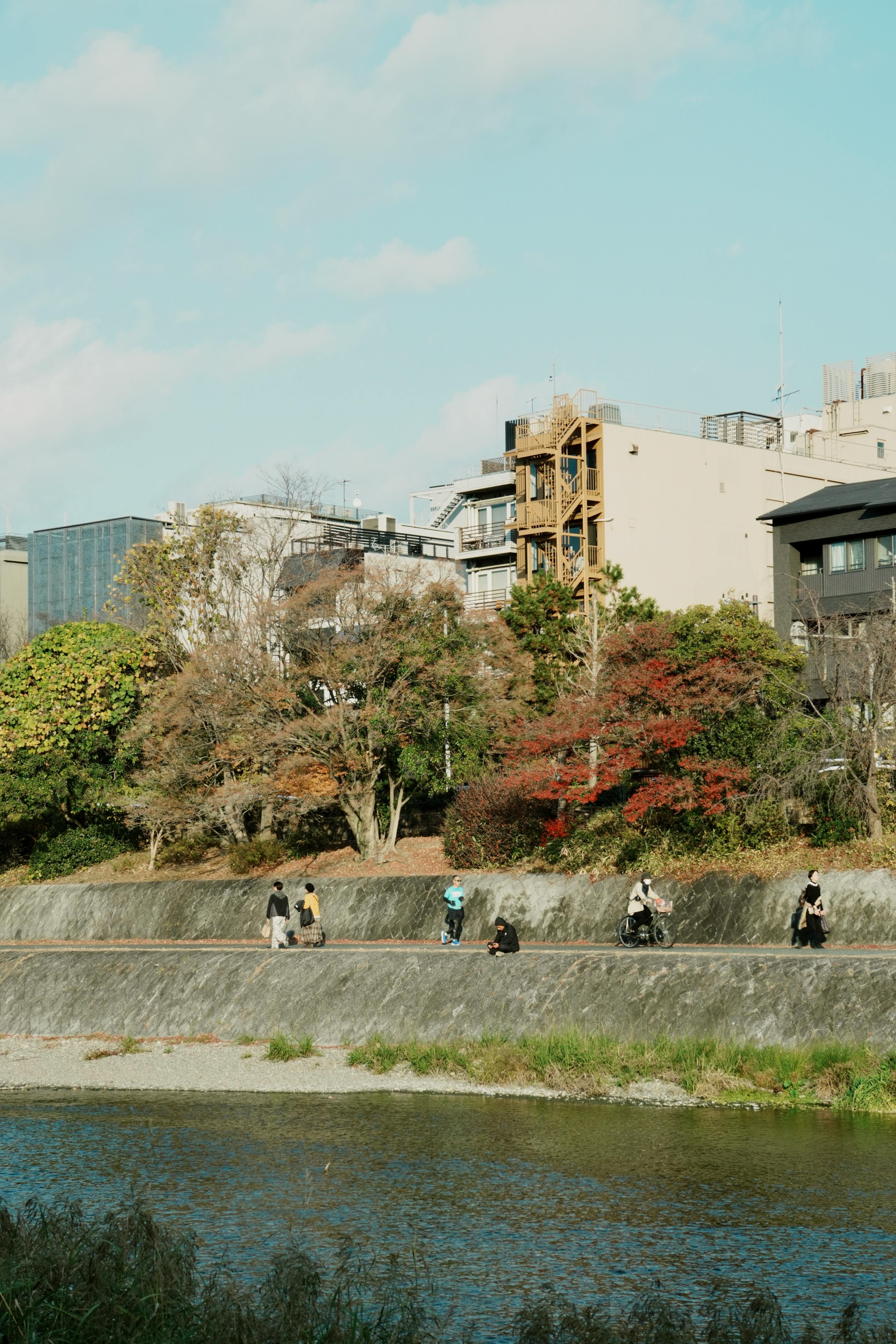 Scenic Riverside in Kyoto with Autumn Foliage