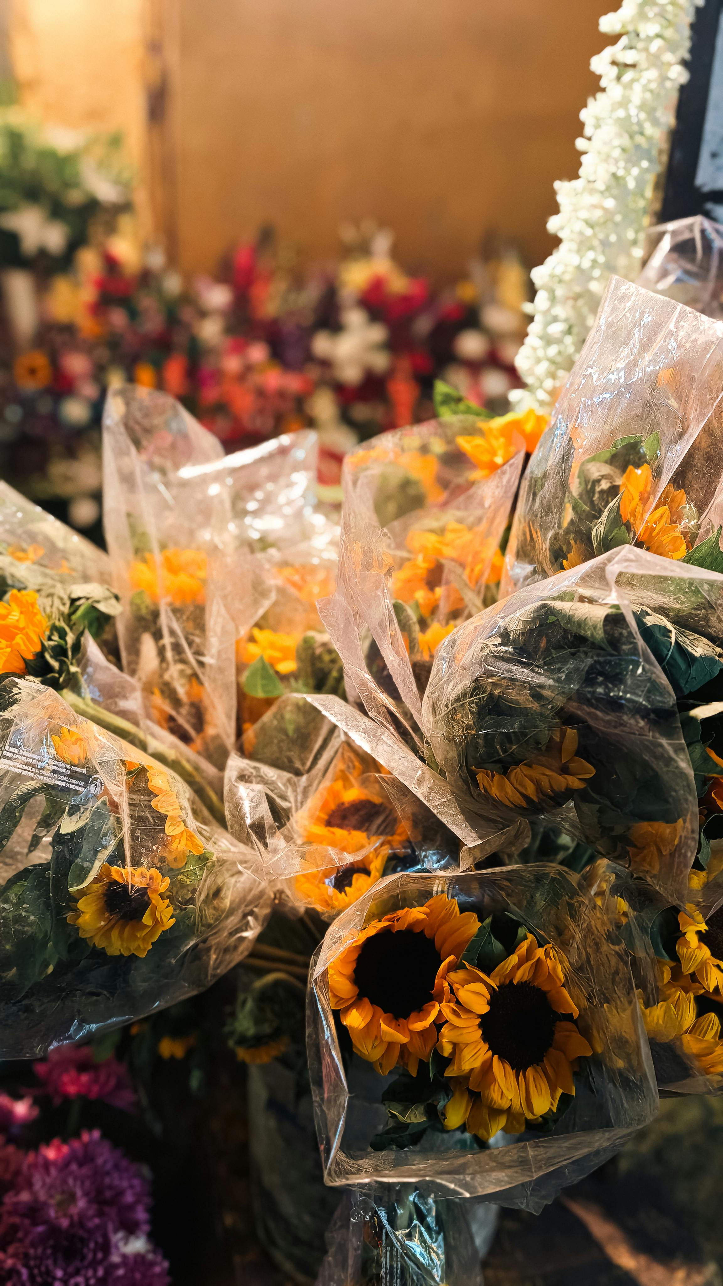 [ColoSach]-colorful-sunflower-bouquets-wrapped-in-plastic-on-display-at-a-market,-perfect-for-any-floral-occasion.