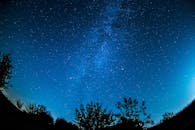 森林上方的星空令人惊叹，清晰地展现出银河的轮廓