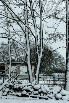 A tranquil winter scene featuring bare trees covered in fresh snow near a rustic house.