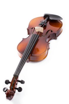 High-quality violin displayed on a white background showcasing its craftsmanship.