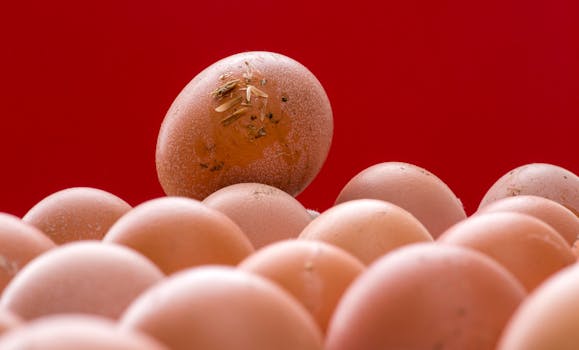 A unique close-up of brown eggs with a red background, highlighting textures and freshness.