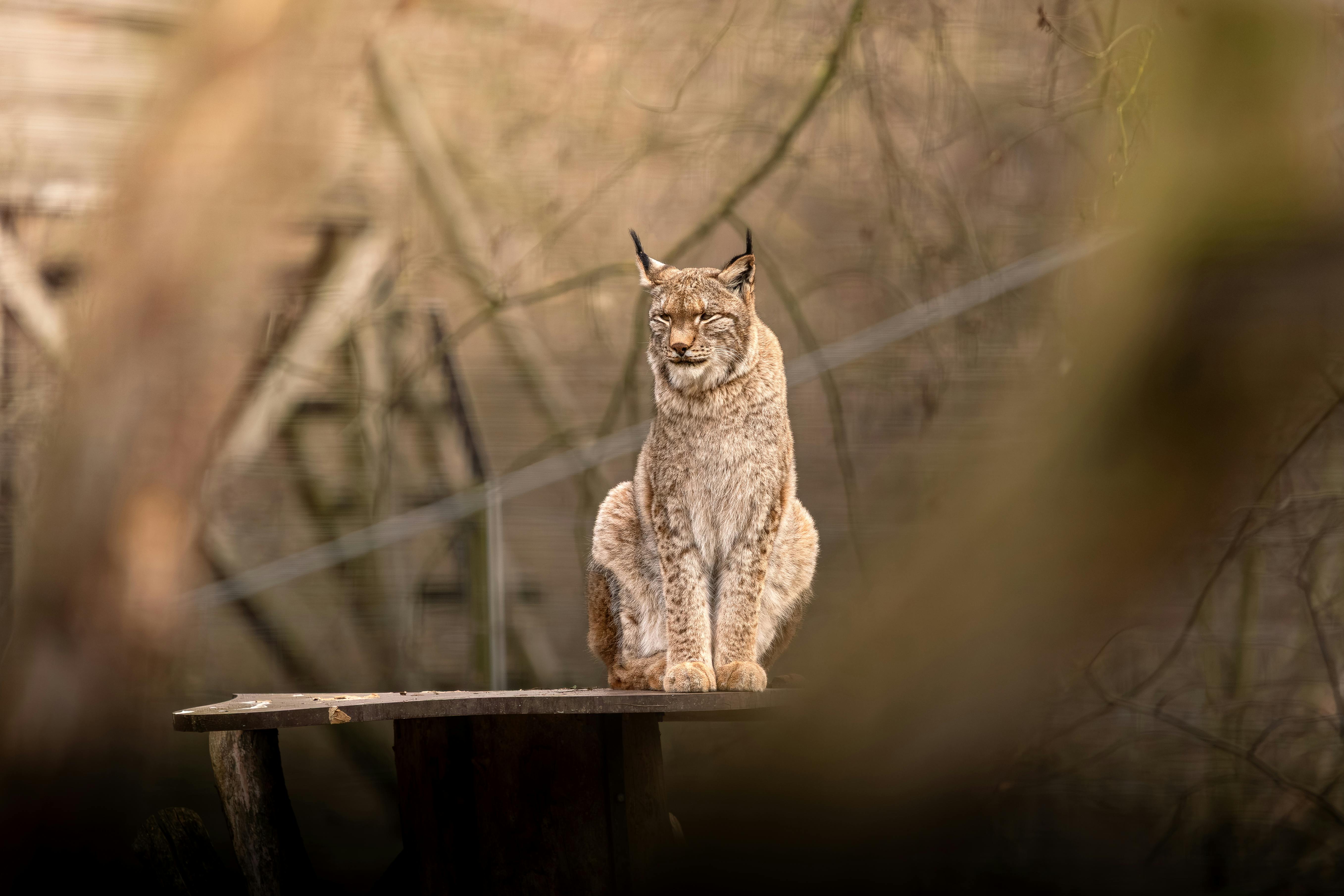 A Glimpse into the ⁢Blendtec Stealth's Innovative Design