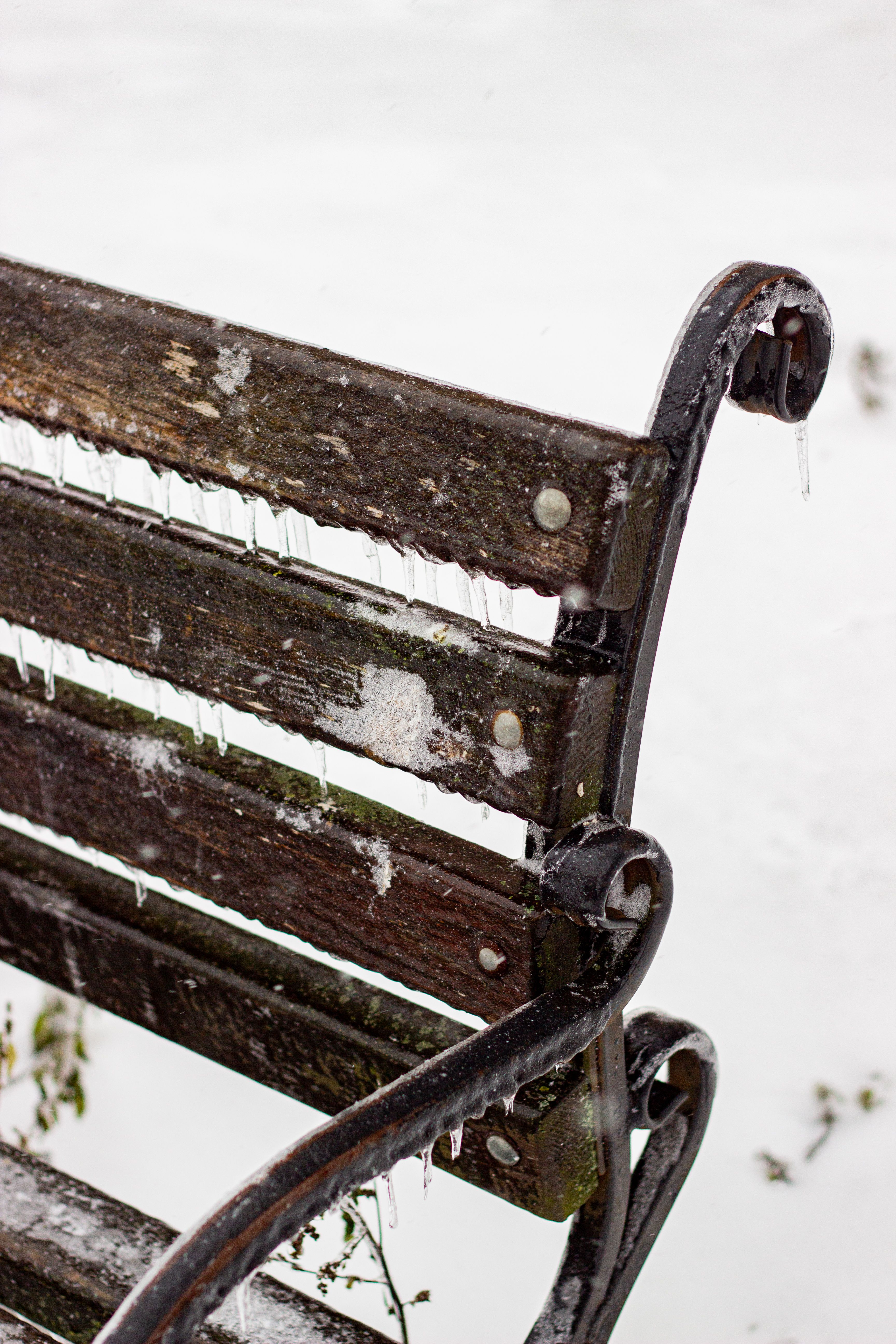 Snow-Covered Bench with Icicles in Winter · Free Stock Photo