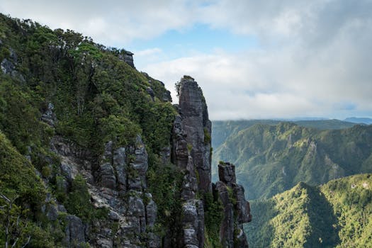Una vista mozzafiato di una scogliera rocciosa immersa nella vegetazione lussureggiante a Waikato, in Nuova Zelanda, sotto un cielo vibrante.