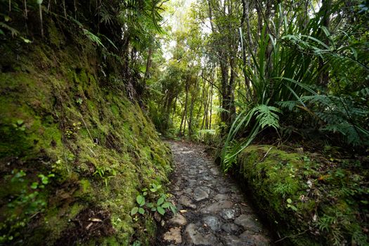 Waitomo glowworm caves day — Rotorua