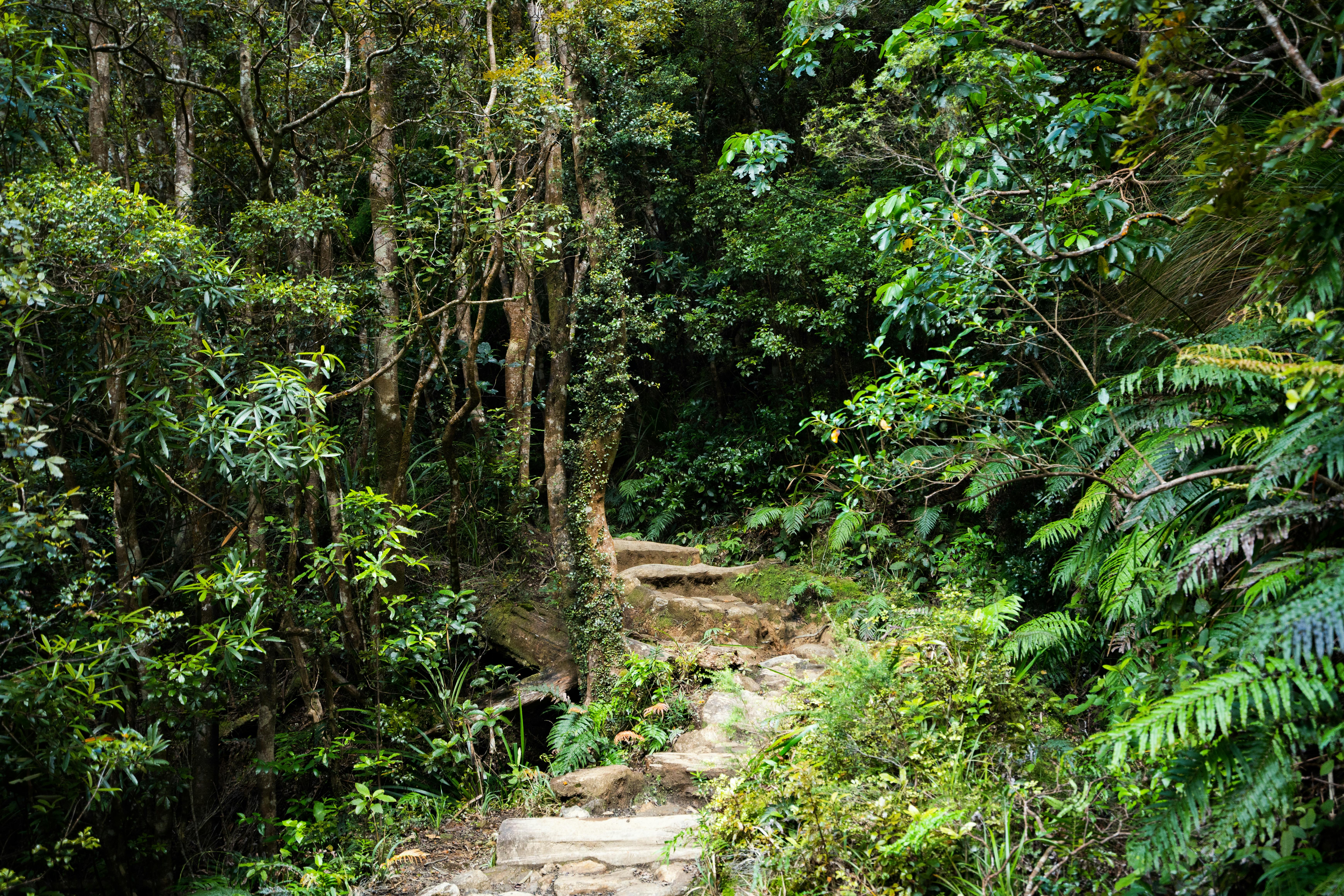 Discover Indonesia’s Hidden Islands Beyond Bali Adventure Awaits