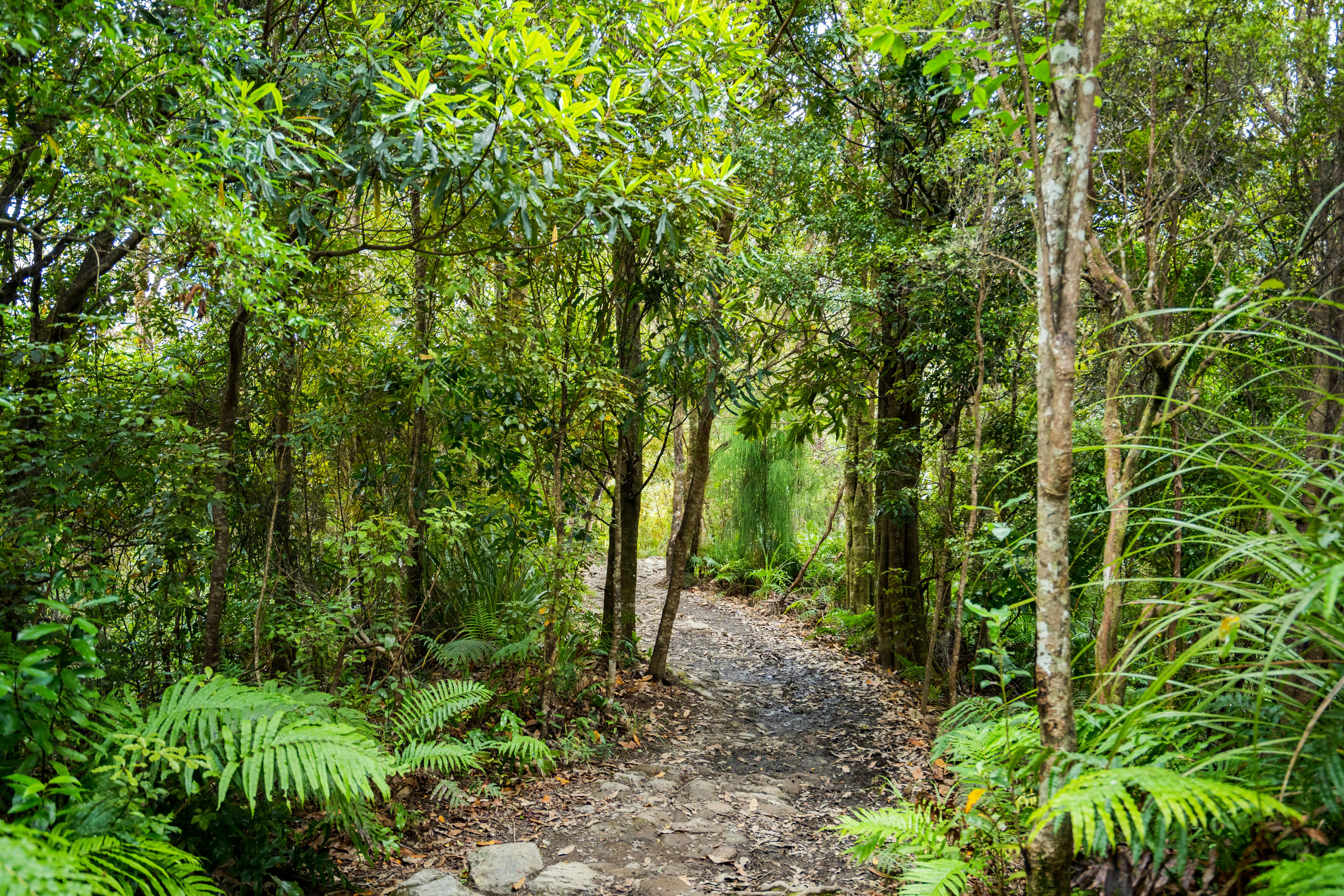 Healthspan White Paper: The Data-Driven Path to Longevity — Photo by Gaurav Kumar on Pexels