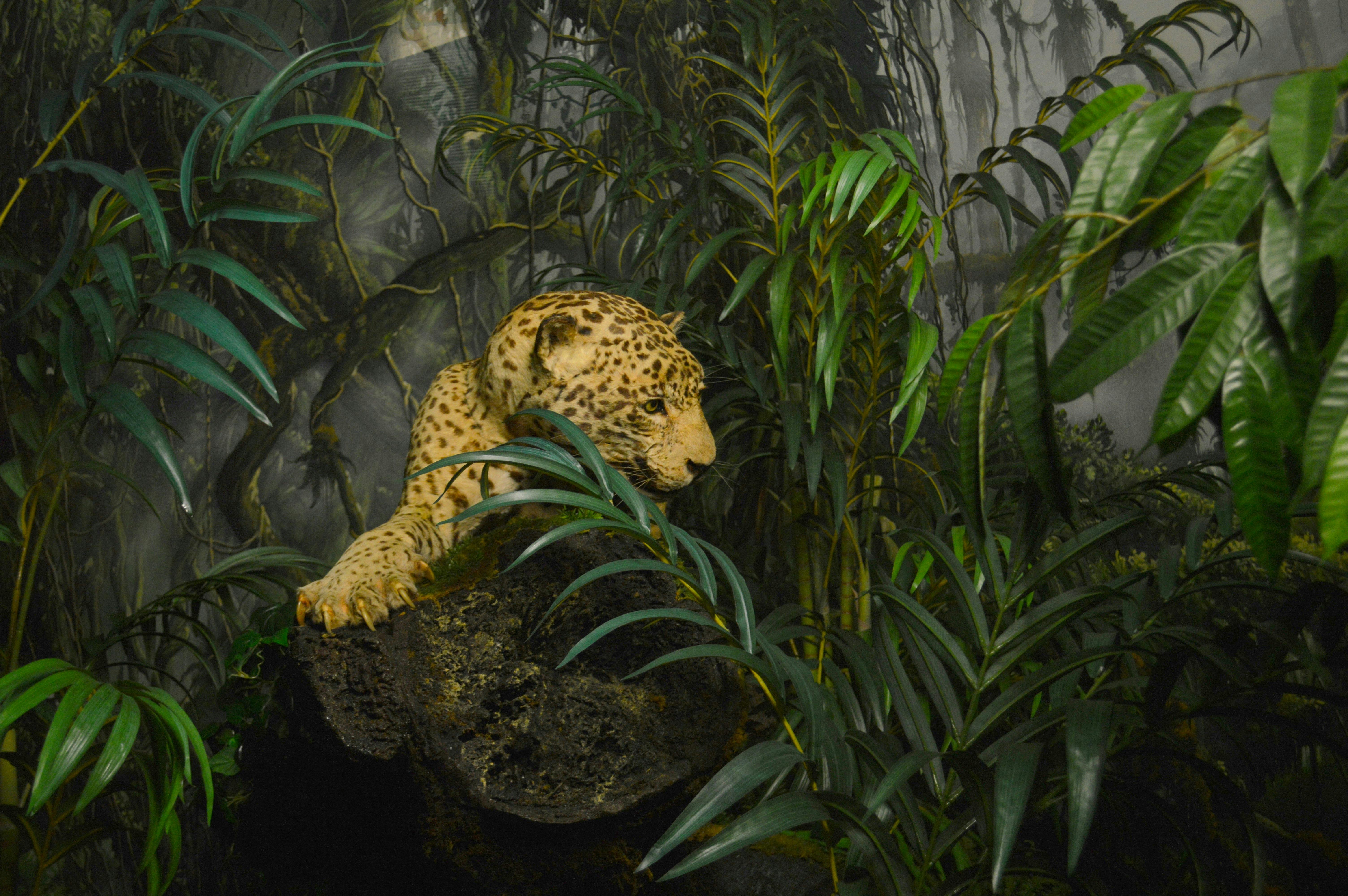 Unveiling the Blendtec Stealth: A Revolutionary Hand Blender Experience