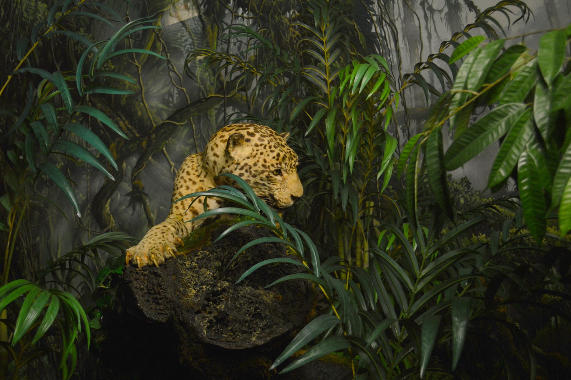 A powerful leopard camouflaged within dense jungle leaves, showcasing nature's raw beauty and mystery.