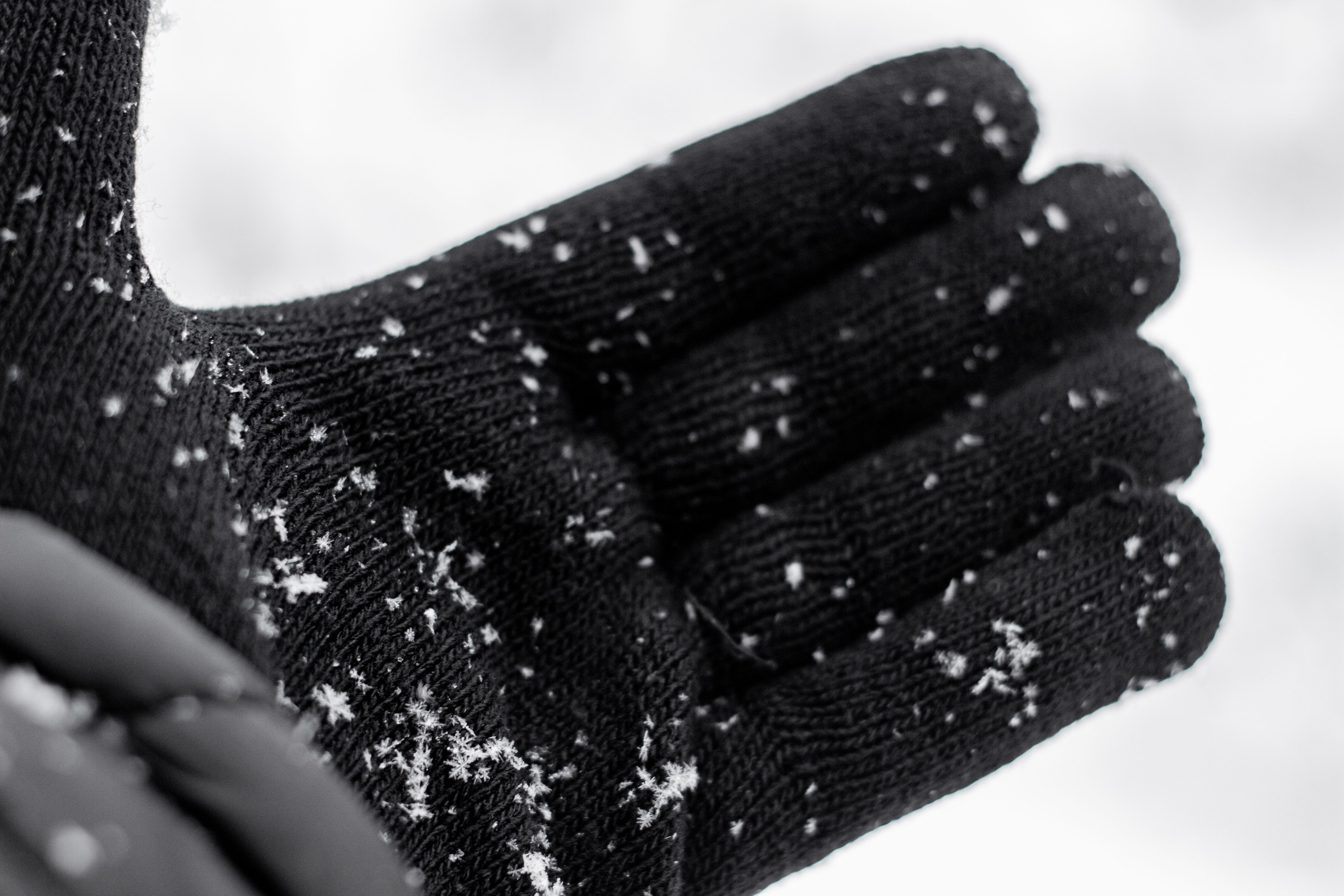Gloves, mittens and mitts; of wool or fine animal hair, knitted or crocheted, (other than impregnated, coated, covered or laminated with plastics or rubber)