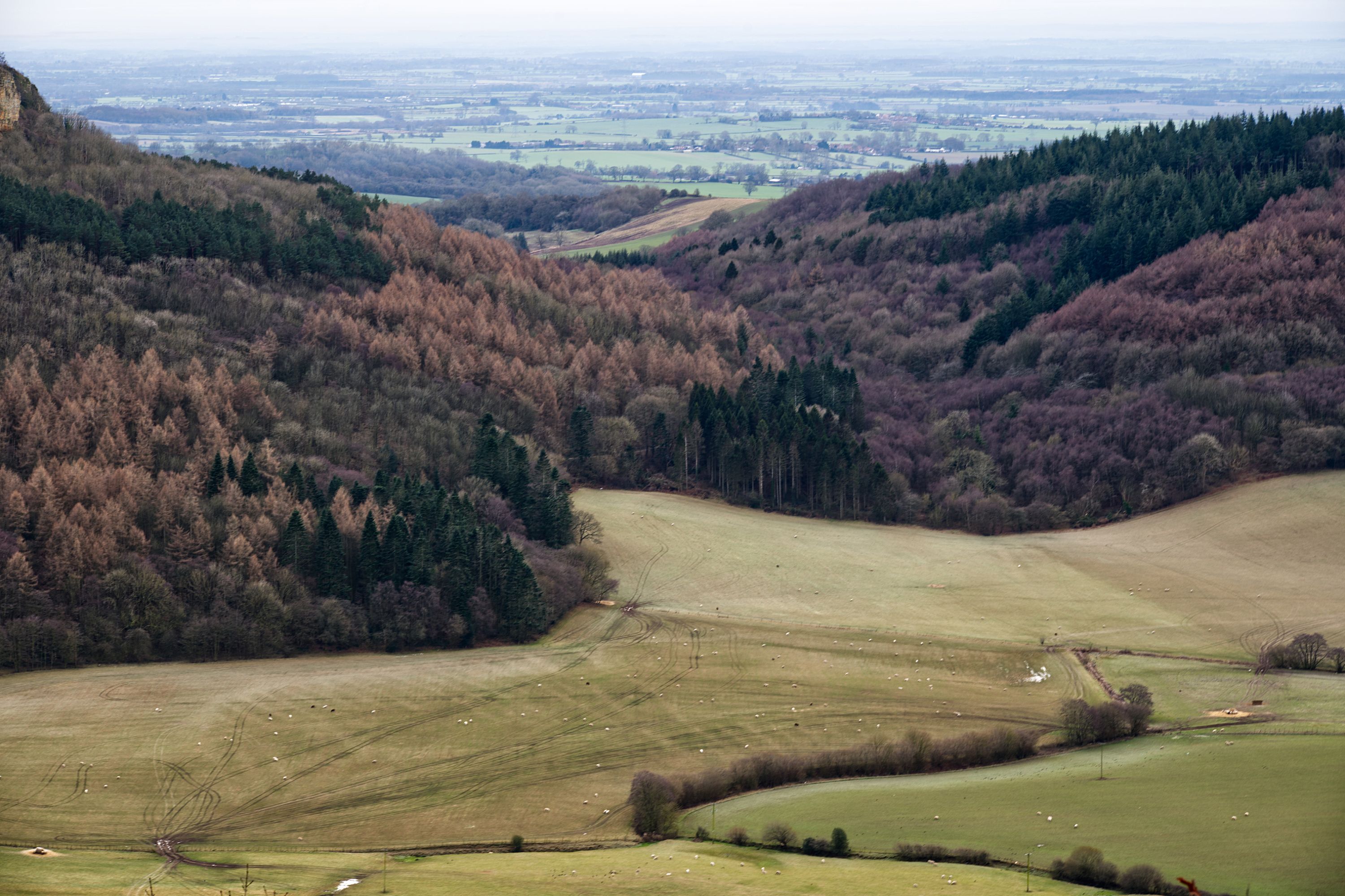 Scenic View of English Countryside Hills and Forest · Free Stock Photo