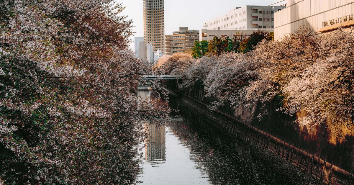 Les plus belles villes où se balader au printemps