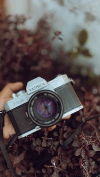 Close-up of a vintage Yashica camera held with a purple leafy background.