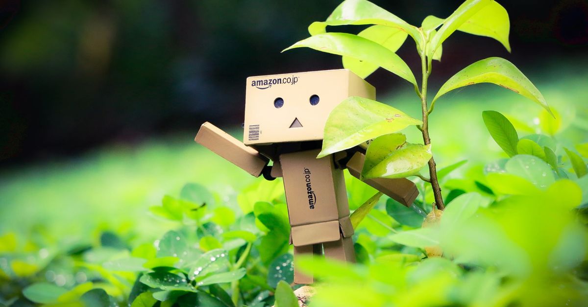 Photo by chea burce Cute cardboard robot toy amidst vibrant green plants outdoors.