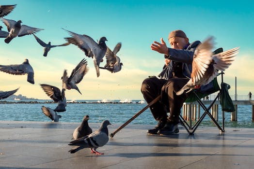 Elderly man interacting with pigeons by a scenic seaside, evoking a serene moment.