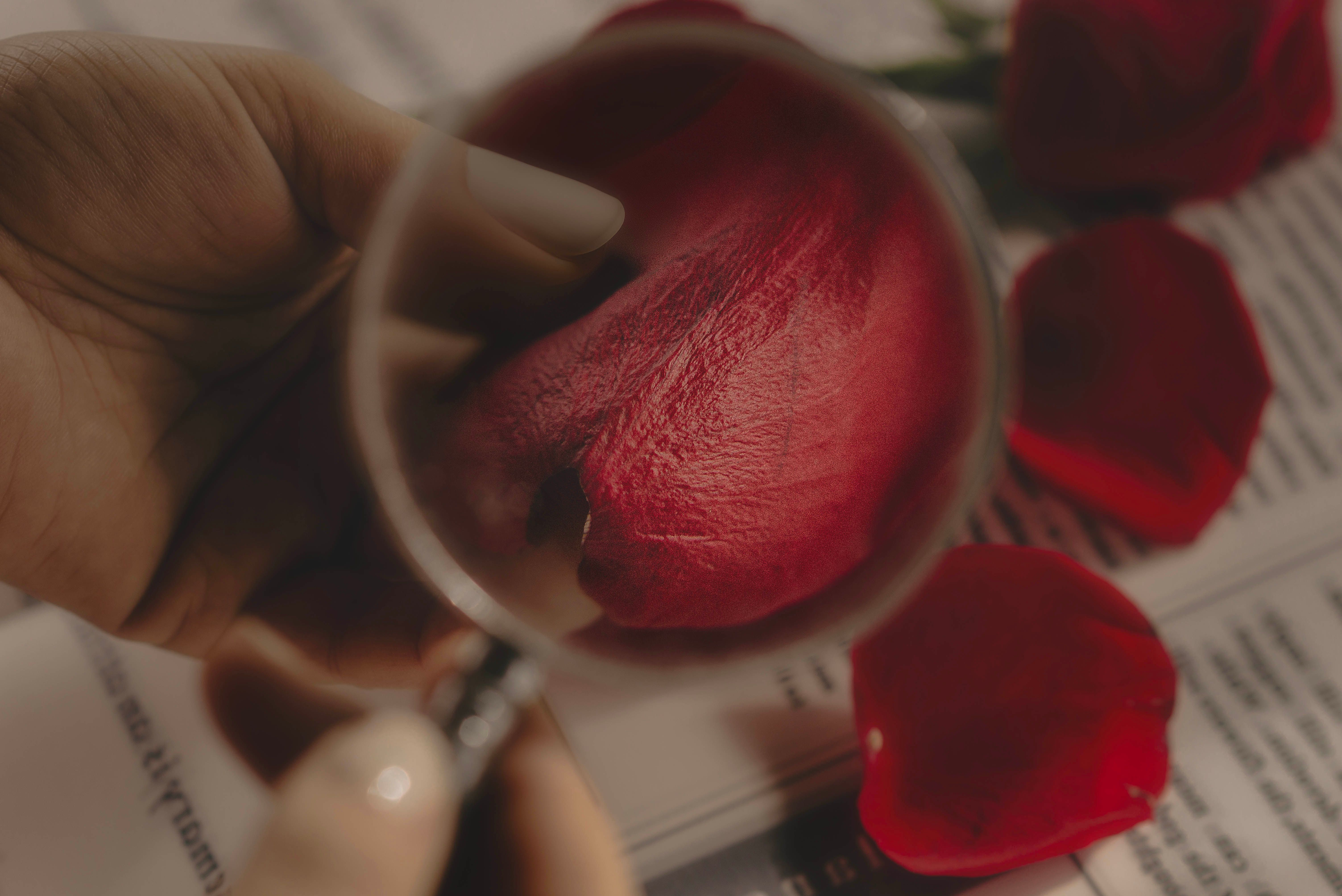 Understanding High False Positive Rates in Screening for Rare Diseases