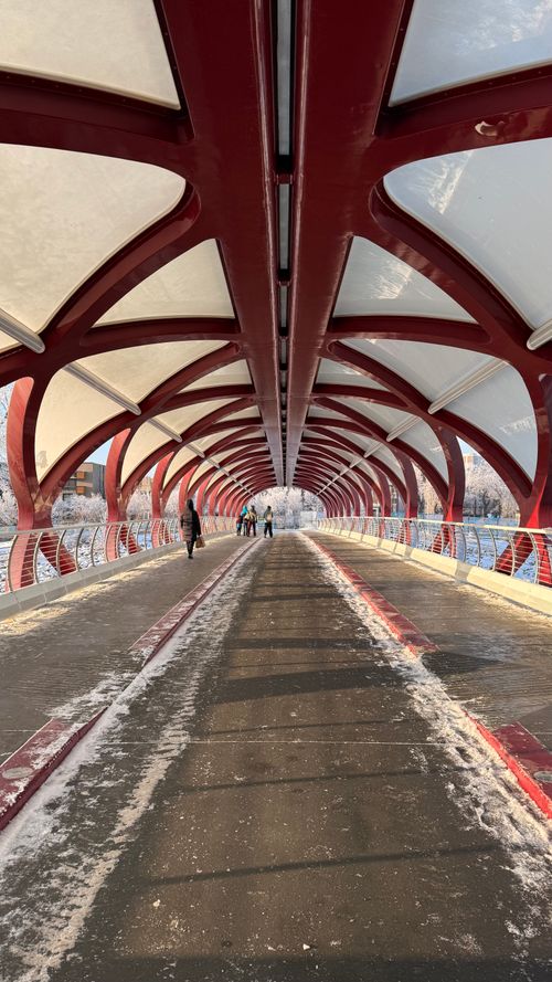 Free Snowy day on Calgary's Peace Bridge with people crossing. Iconic architecture captured beautifully. Stock Photo