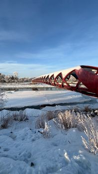 The Peace Bridge spans frozen waters under a clear winter sky, showcasing its unique design.