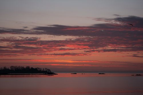 Free Beautiful pink and orange sunrise over Cove Island Park in Stamford, Connecticut. Stock Photo