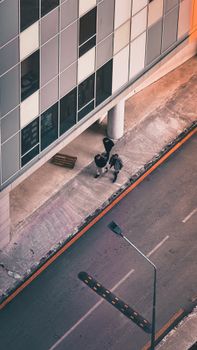 Aerial shot of pedestrians walking by a modern city building, showcasing urban life.