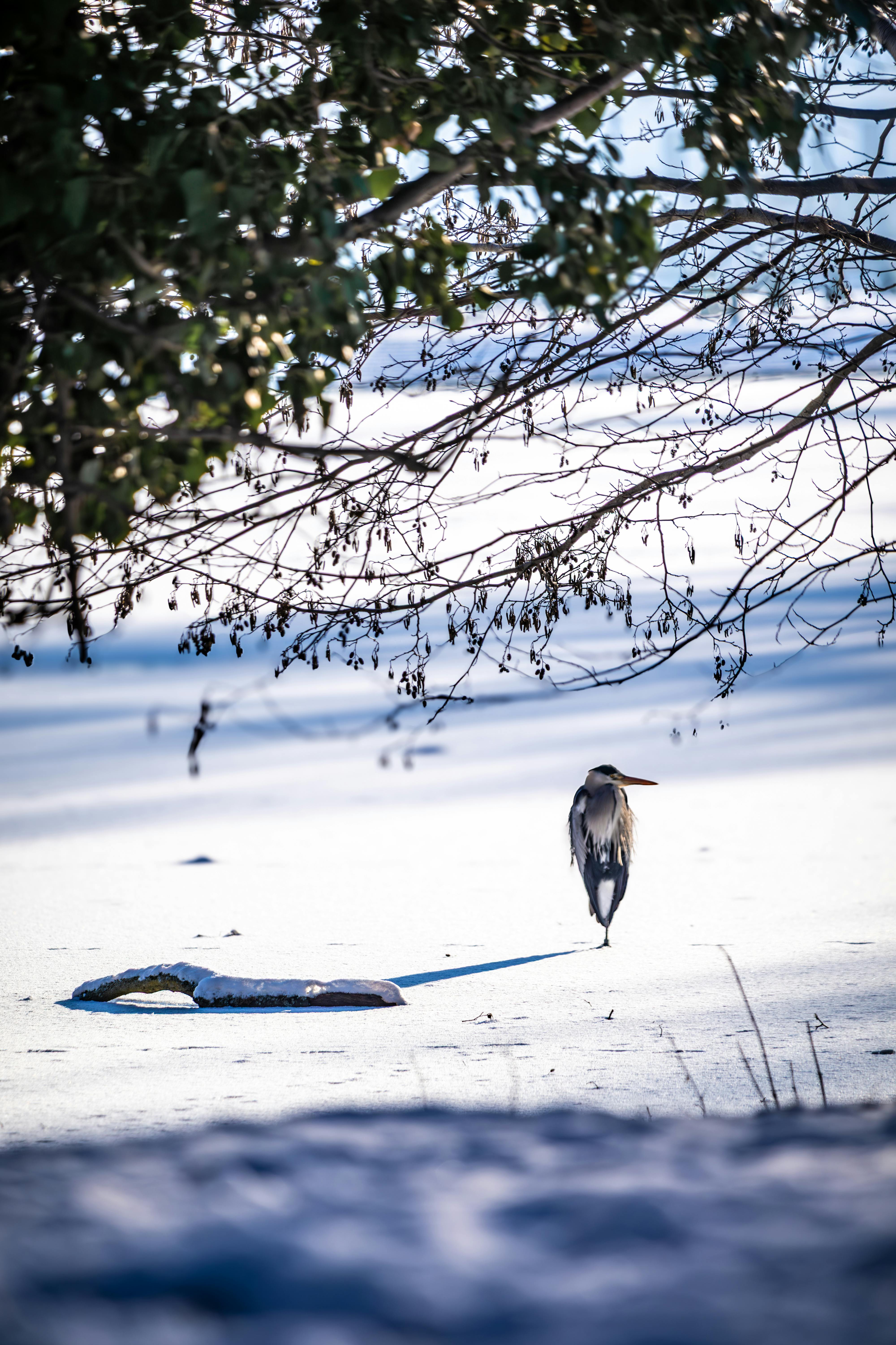 User Experience and Maintenance Tips for the Cuisinart Smartest Stick