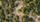drone area view