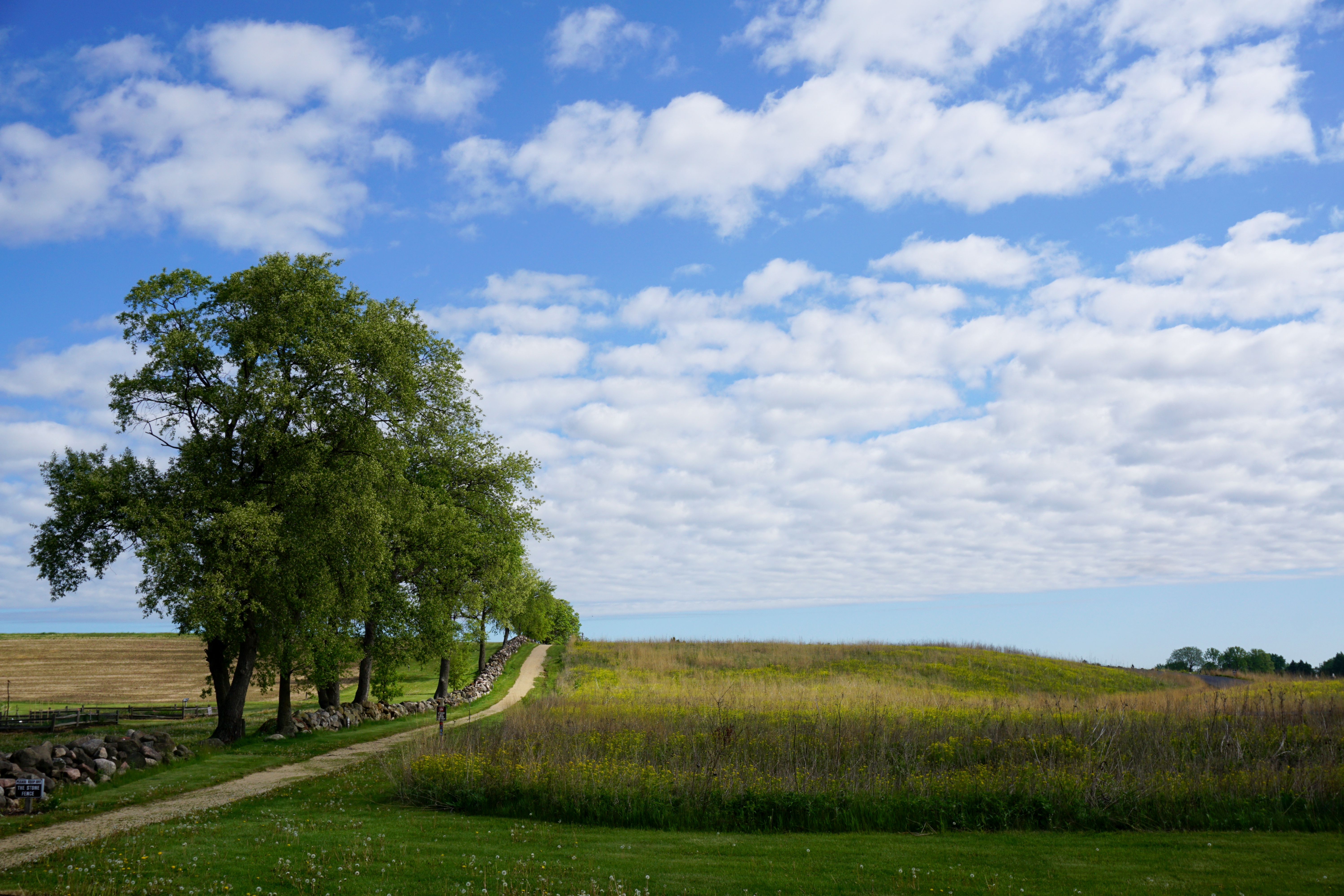 aldo leopold conservation